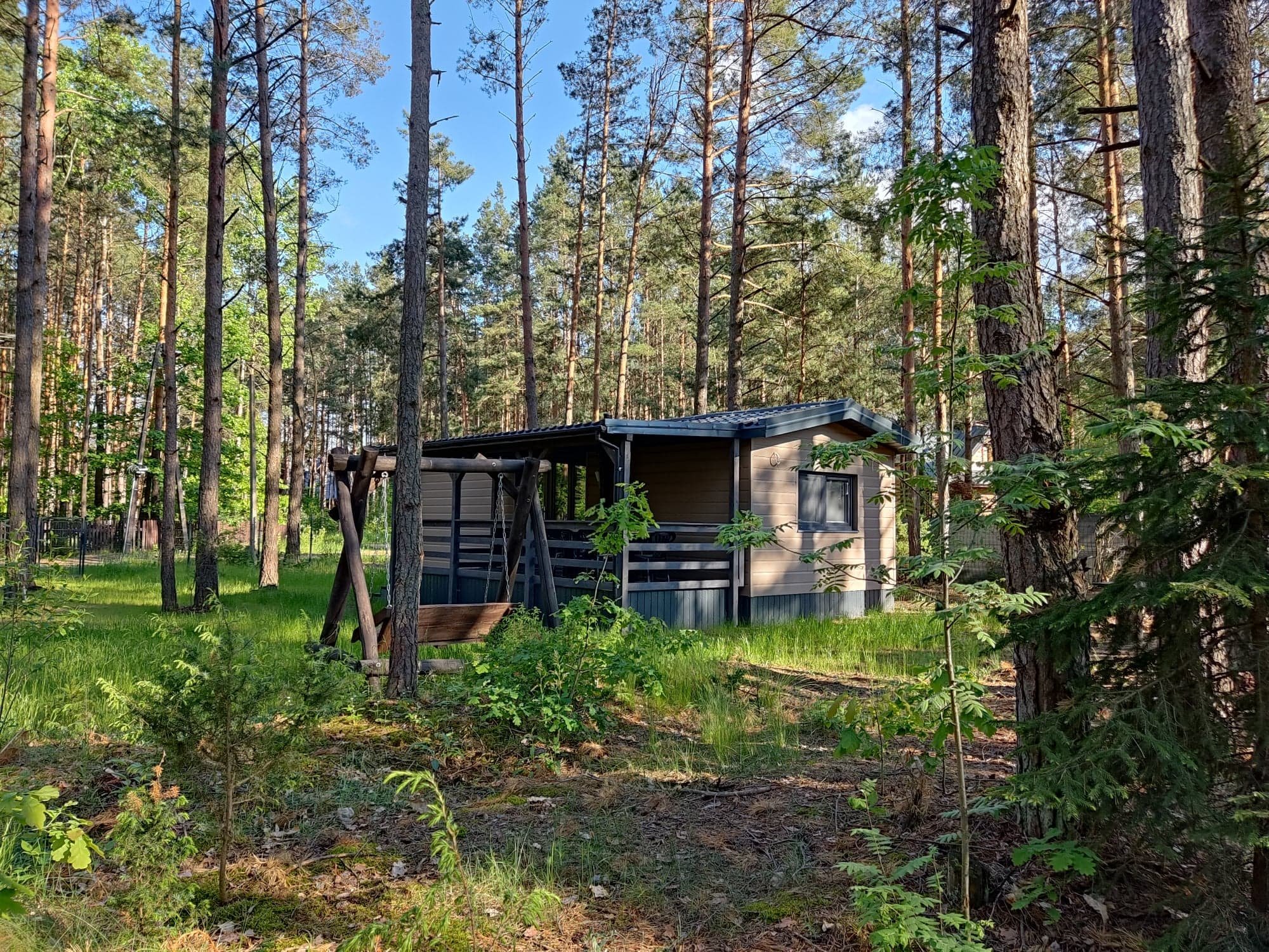 Tanie noclegi pod Puszczą Białowieską – jak szukać okazji?