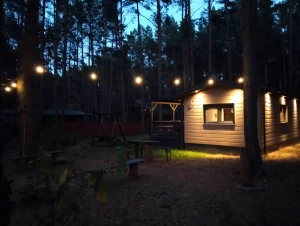 Oświetlony domek wieczorem w lesie