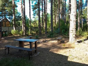 Stół z ławkami w ogrodzie przy domku