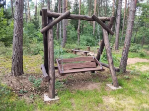 Drewniana huśtawka ogrodowa na działce wśród sosen